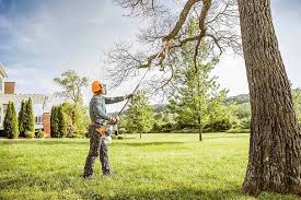 Best Leaf Removal  in Parker, TX